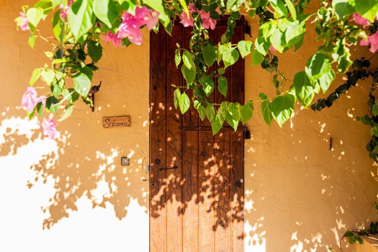 Las Mariposas ซานอันโตนิโอ ภายนอก รูปภาพ