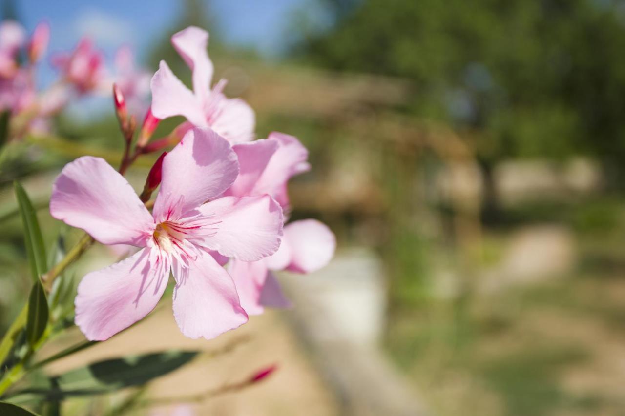 Las Mariposas ซานอันโตนิโอ ภายนอก รูปภาพ